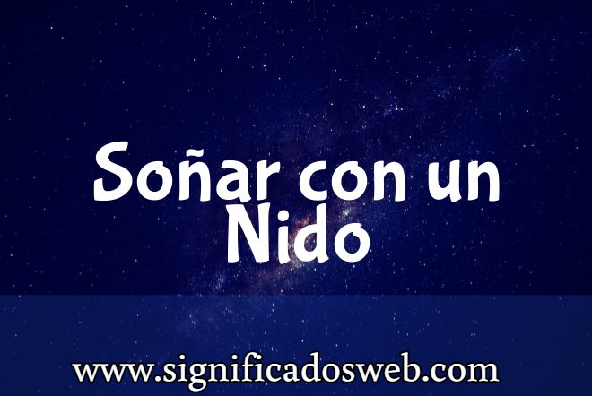 Significado de Soñar con un Nido ✔️