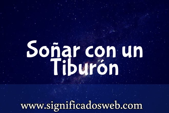 Significado de Soñar con un Tiburón ✔️