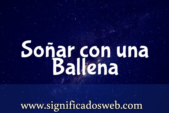 Significado de Soñar con una Ballena ✔️