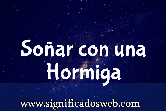 Significado de Soñar con una Hormiga ✔️