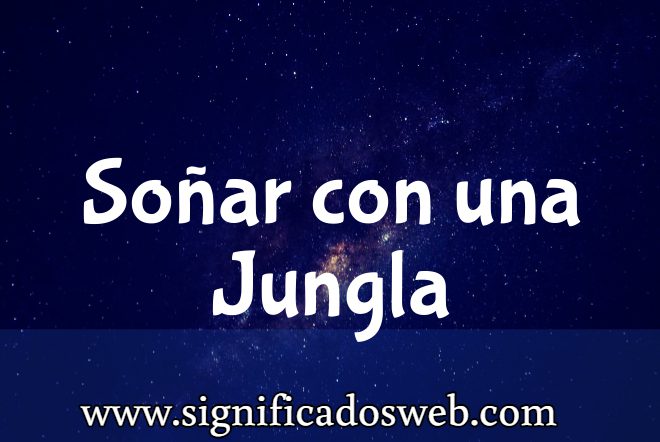 Significado de Soñar con una Jungla ✔️