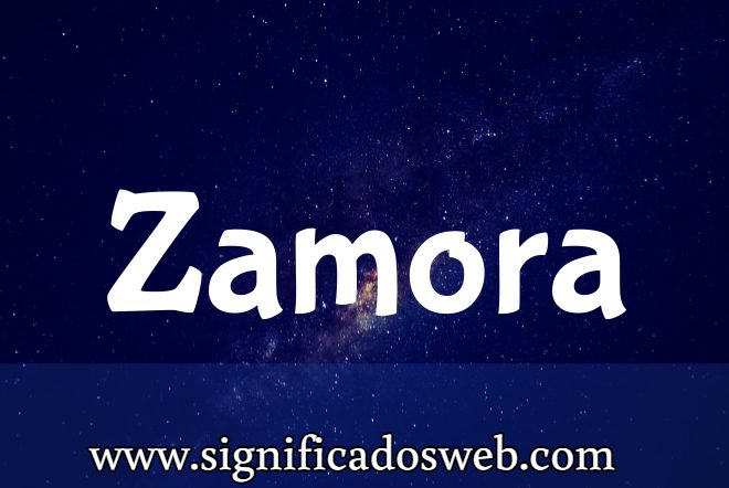 Significado del apellido Zamora ✔️