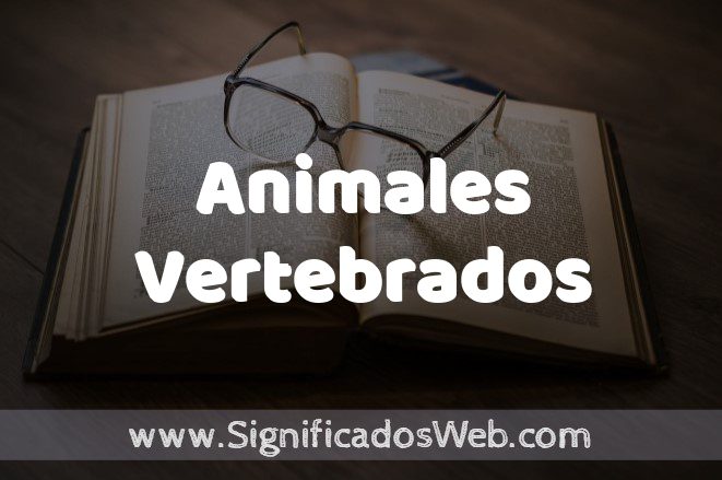 Significado de Animales Vertebrados ✔️ Definición y Concepto