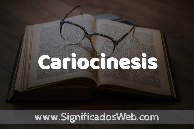 Significado de Cariocinesis ✔️ Definición y Concepto