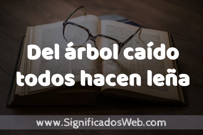 Significado de Del árbol caído todos hacen leña ✔️ Definición y Concepto