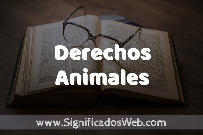 Significado de Derechos Animales ✔️ Definición y Concepto