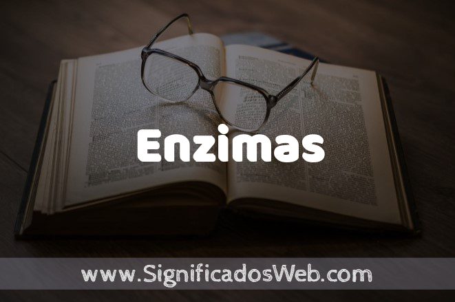 Significado de Enzimas ✔️ Definición y Concepto