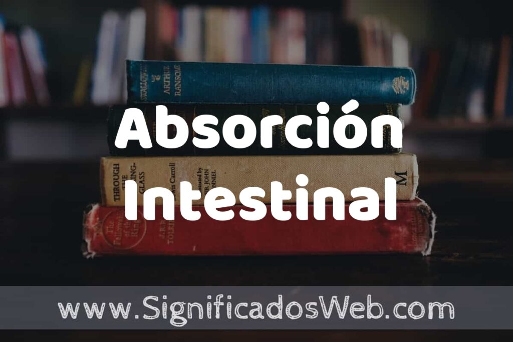 Concepto de Absorción Intestinal ▶️¿Que es? Definición y Significado