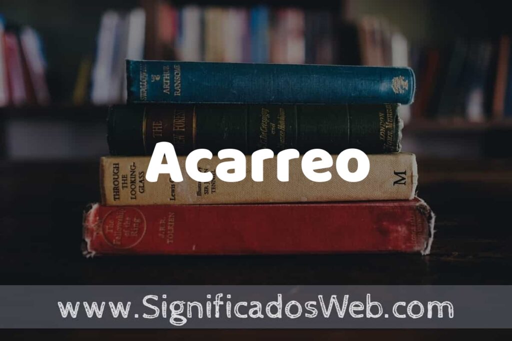 Concepto de Acarreo ▶️¿Que es? Definición y Significado