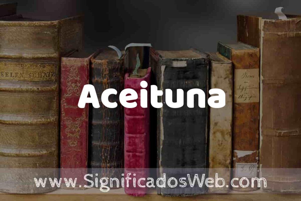 Definición de Aceituna: Que es, 5 Ejemplos, Tipos y Para que Sirve + Sinónimo y Significado