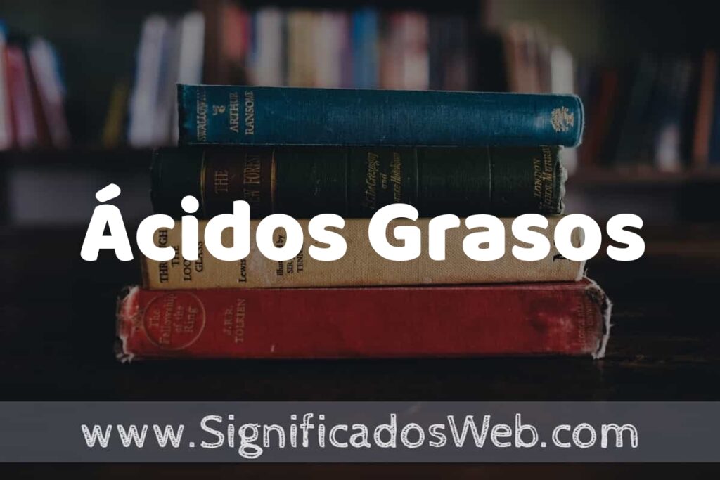 Concepto de Ácidos Grasos ▶️¿Que es? Definición y Significado