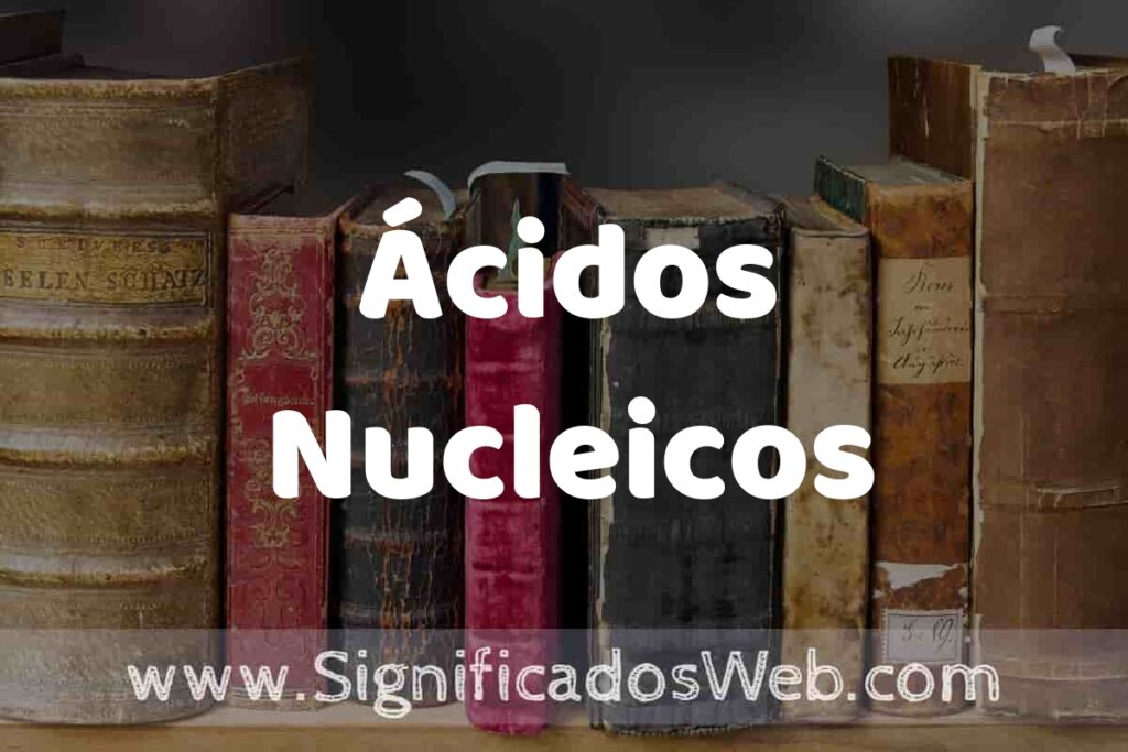 Definición de Ácidos Nucleicos: Que es, 5 Ejemplos, Tipos y Para que Sirve + Sinónimo y Significado