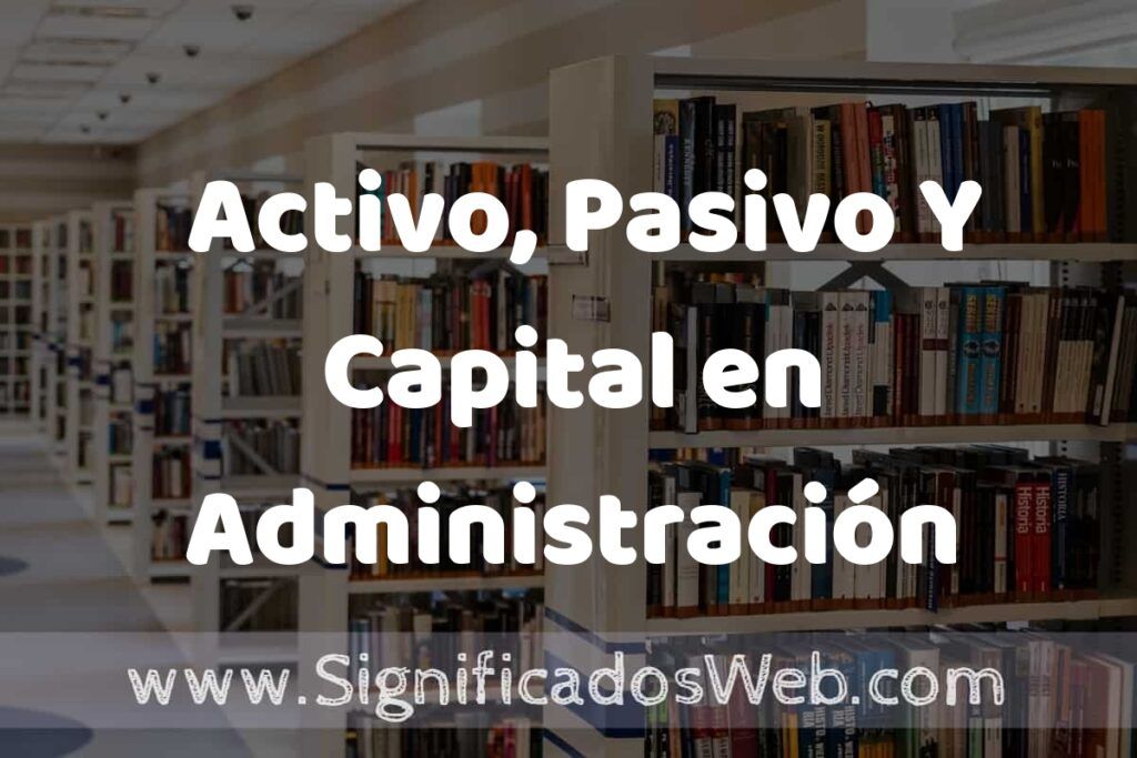Concepto de Activo, Pasivo Y Capital en Administración Contable ✔️ Significado y Definición