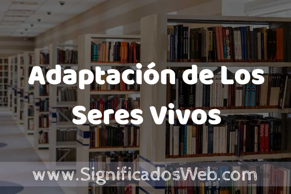 Concepto de Adaptación de Los Seres Vivos ✔️ Significado y Definición