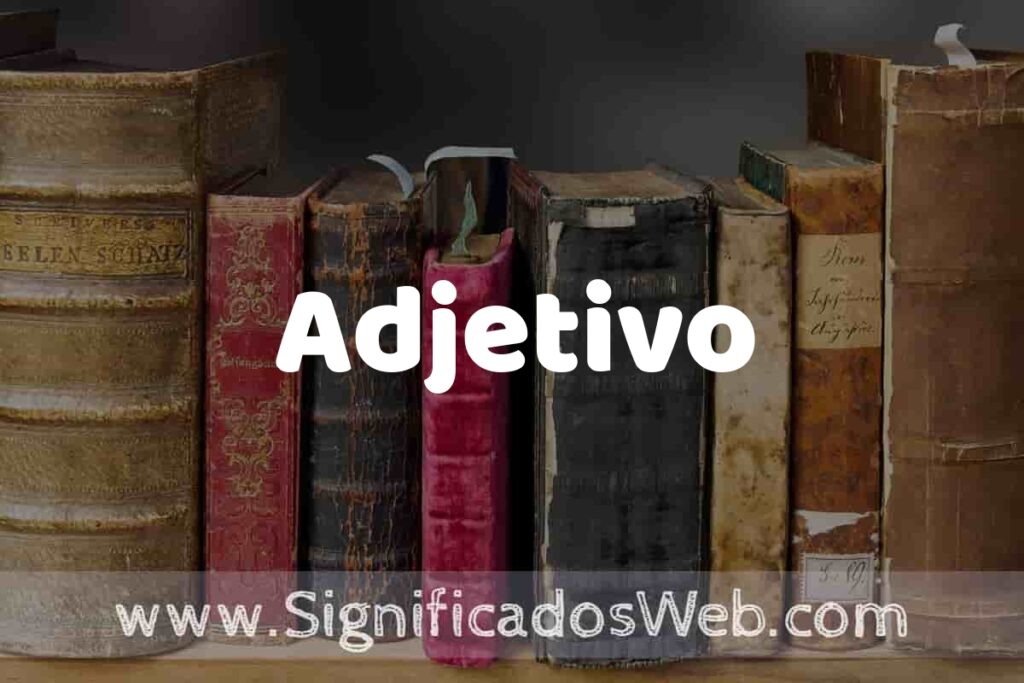 Adjetivo: Que es, 5 Ejemplos, Tipos y Para que Sirve + Sinónimo y Significado