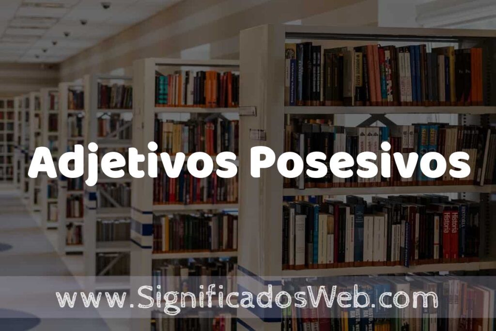 Concepto de Adjetivos Posesivos ✔️ Significado y Definición