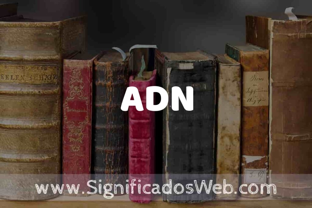 Definición de ADN: Que es, 5 Ejemplos, Tipos y Para que Sirve + Sinónimo y Significado