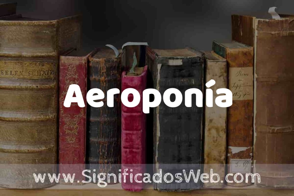 Definición de Aeroponía: Que es, 5 Ejemplos, Tipos y Para que Sirve + Sinónimo y Significado