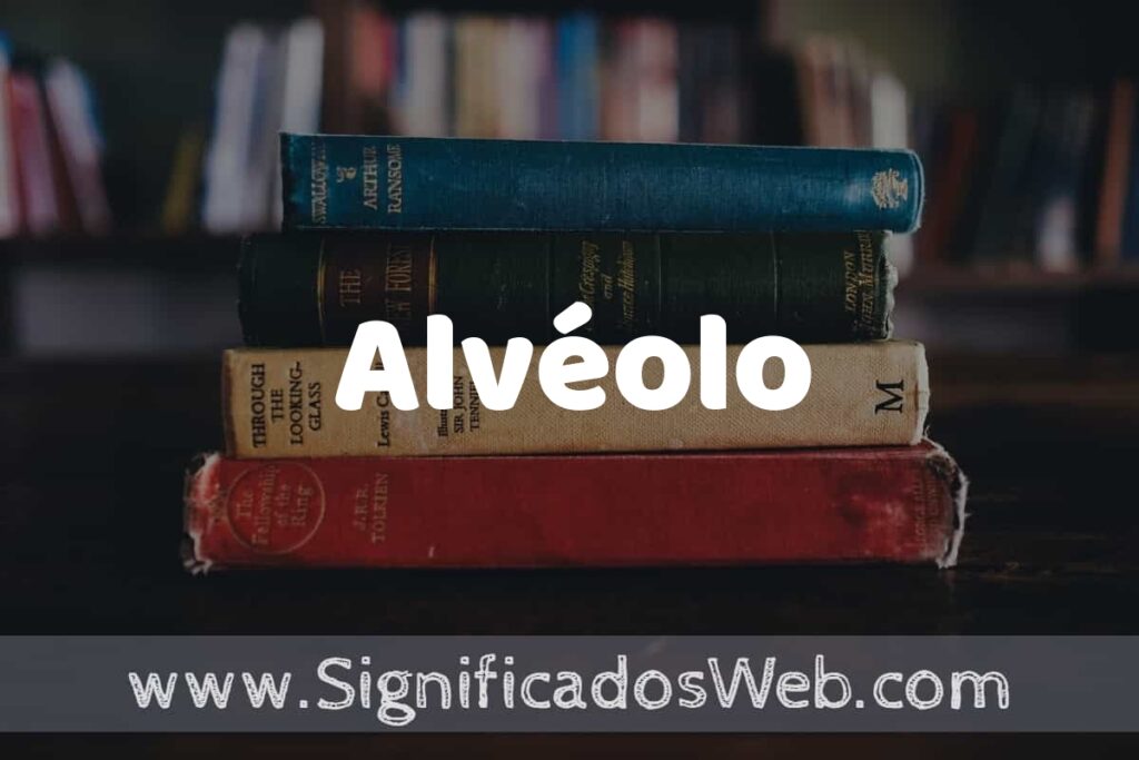 Concepto de Alvéolo ▶️¿Que es? Definición y Significado
