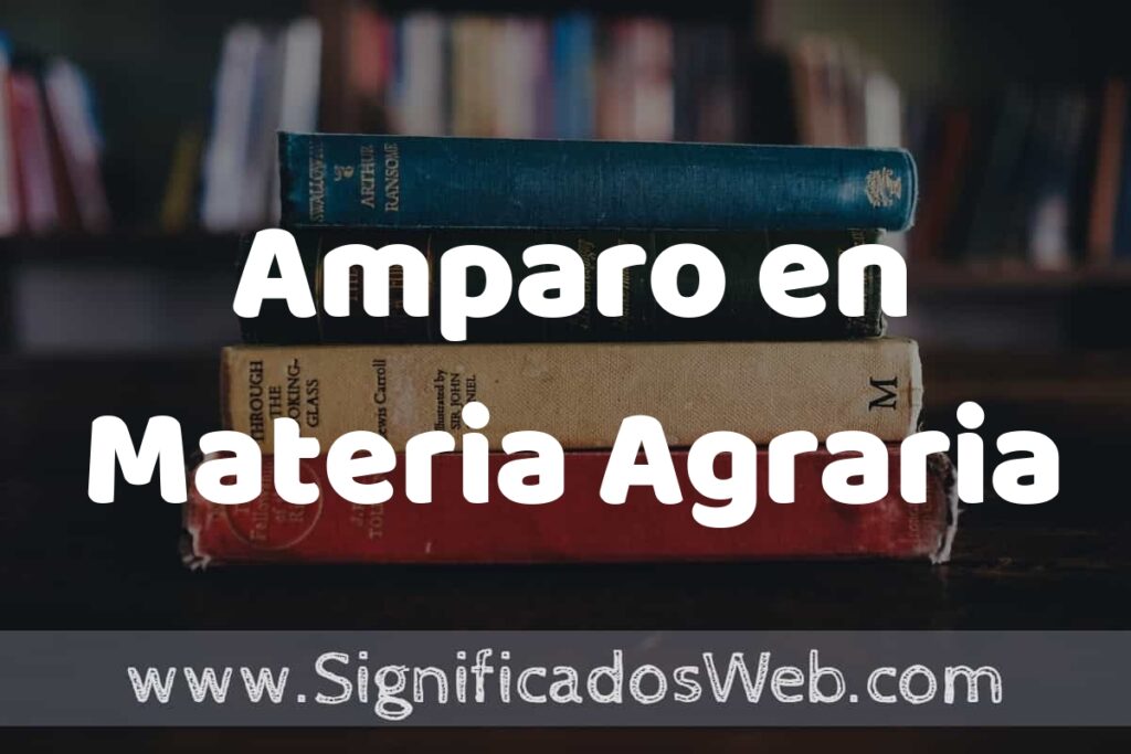 Concepto de Amparo en Materia Agraria ▶️¿Que es? Definición y Significado