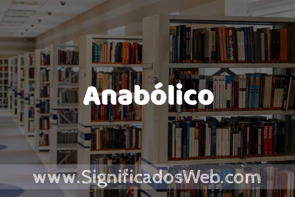 Concepto de Anabólico ✔️ Significado y Definición