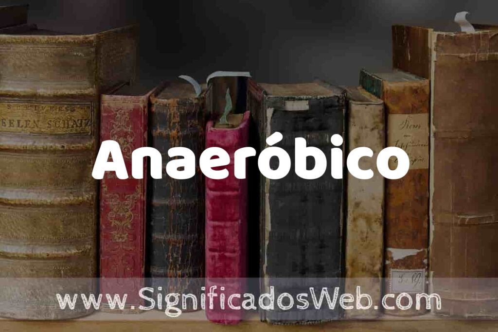 Definición de Anaeróbico: Que es, 5 Ejemplos, Tipos y Para que Sirve + Sinónimo y Significado