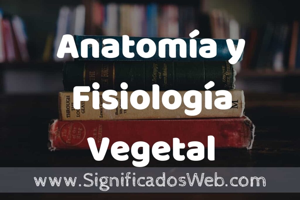 Concepto de Anatomía y Fisiología Vegetal ▶️¿Que es? Definición y Significado