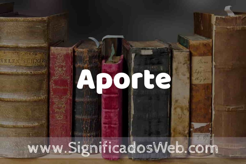 Definición de Aporte: Que es, 5 Ejemplos, Tipos y Para que Sirve + Sinónimo y Significado