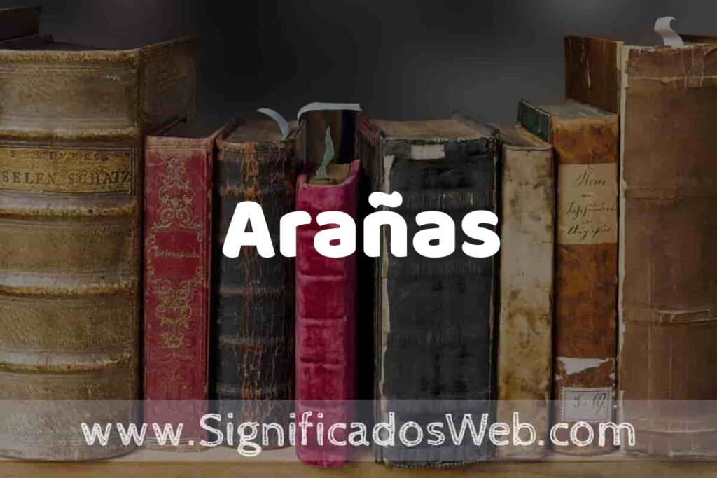 Definición de Arañas: Que es, 5 Ejemplos, Tipos y Para que Sirve + Sinónimo y Significado
