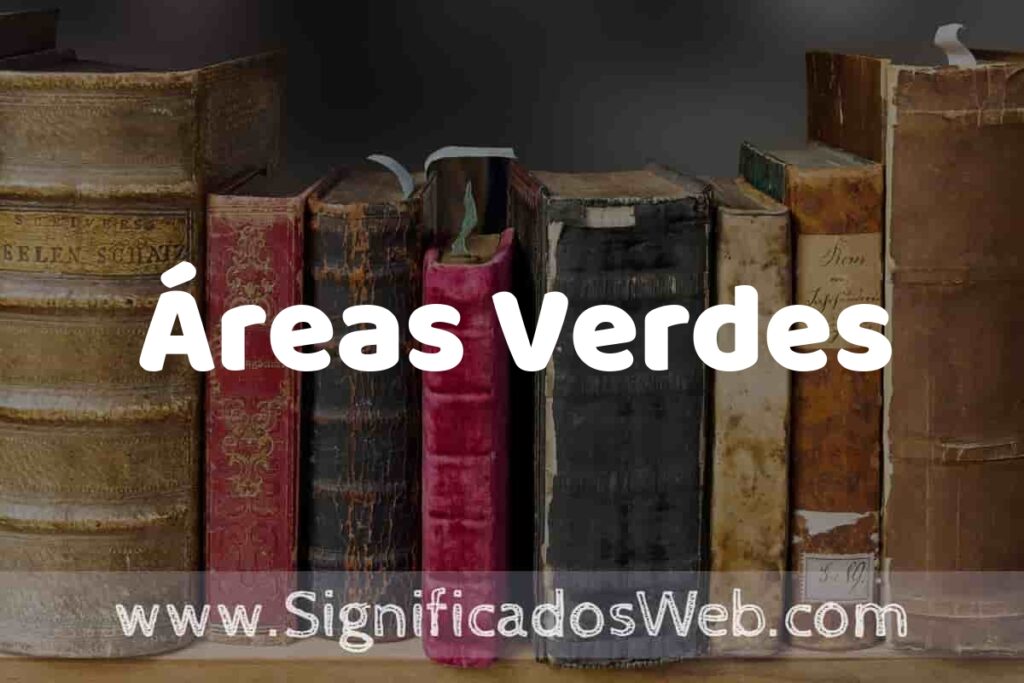 Definición de Áreas Verdes: Que es, 5 Ejemplos, Tipos y Para que Sirve + Sinónimo y Significado