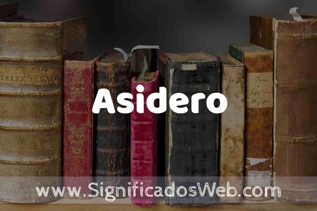Definición de Asidero: Que es, 5 Ejemplos, Tipos y Para que Sirve + Sinónimo y Significado