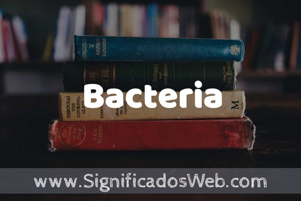 Concepto de Bacteria ▶️¿Que es? Definición y Significado