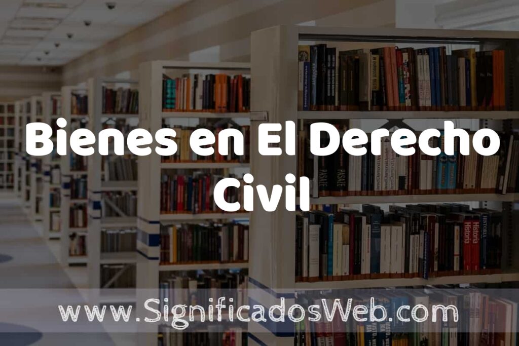 Concepto de Bienes en El Derecho Civil ✔️ Significado y Definición