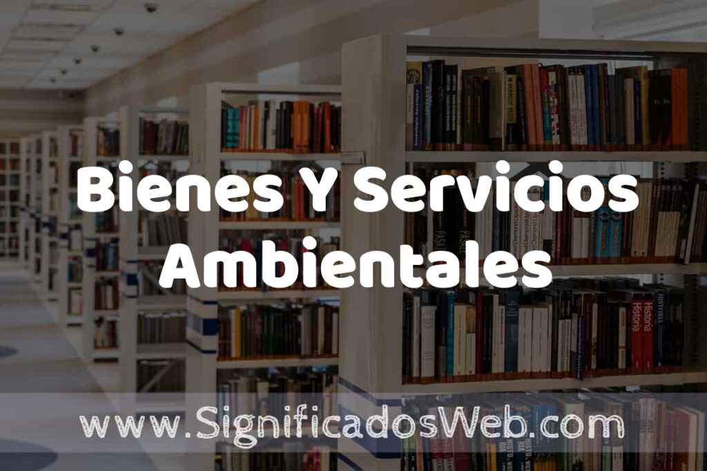 Concepto de Bienes Y Servicios Ambientales ✔️ Significado y Definición