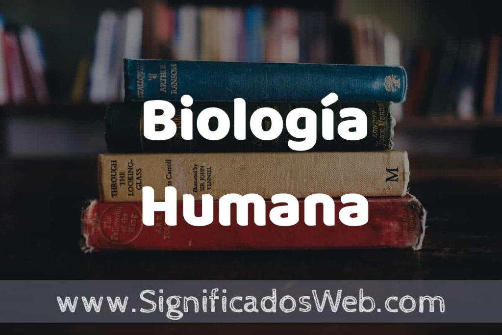 Concepto de Biología Humana ▶️¿Que es? Definición y Significado