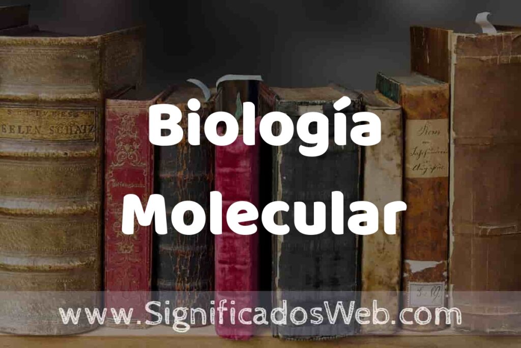 Definición de Biología Molecular: Que es, 5 Ejemplos, Tipos y Para que Sirve + Sinónimo y Significado