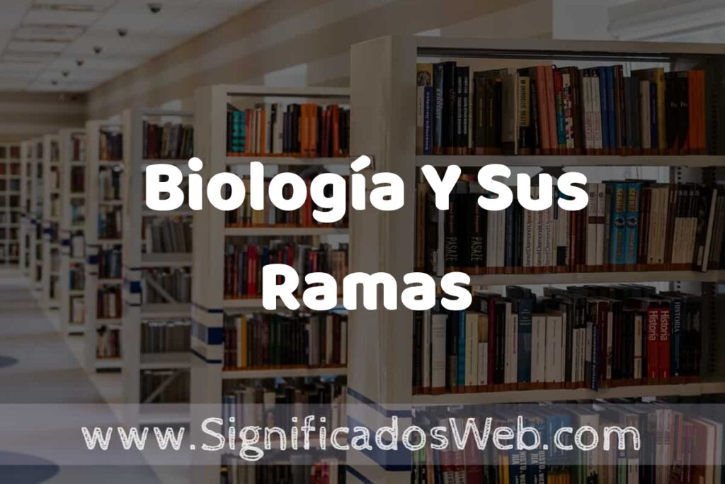 Concepto de Biología Y Sus Ramas ✔️ Significado y Definición