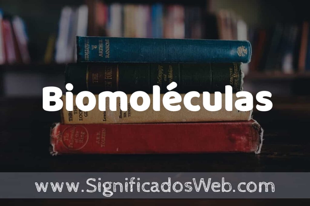 Concepto de Biomoléculas ▶️¿Que es? Definición y Significado