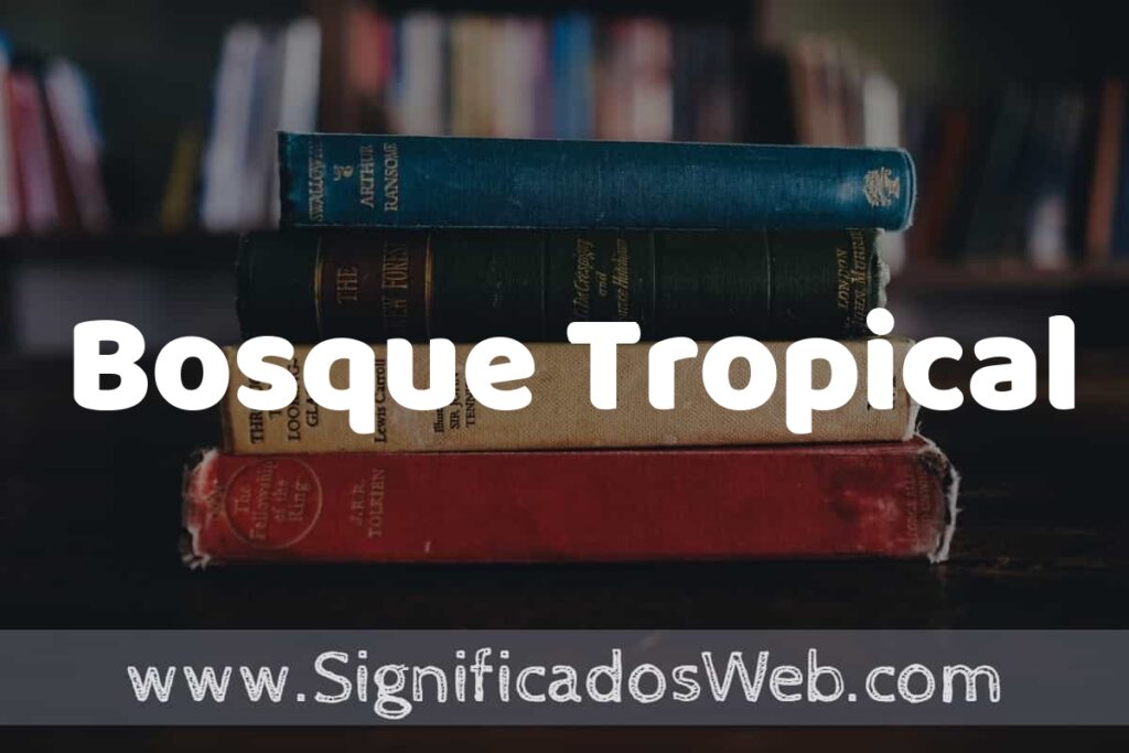 Concepto de Bosque Tropical ▶️¿Que es? Definición y Significado