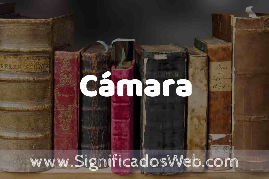 Definición de Cámara: Que es, 5 Ejemplos, Tipos y Para que Sirve + Sinónimo y Significado