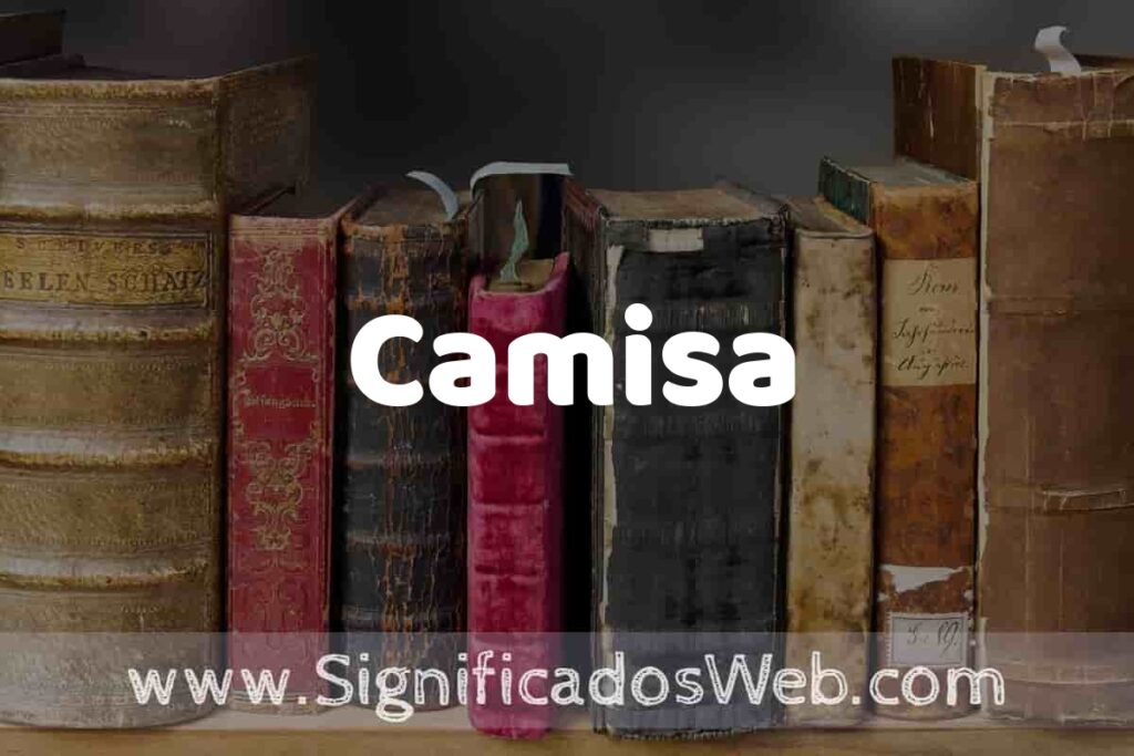 Definición de Camisa: Que es, 5 Ejemplos, Tipos y Para que Sirve + Sinónimo y Significado