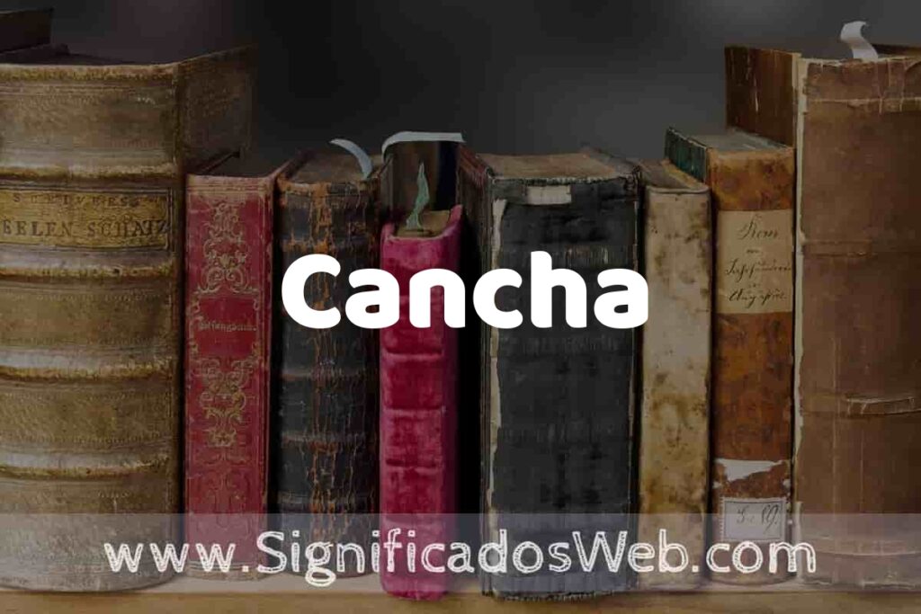 Definición de Cancha: Que es, 5 Ejemplos, Tipos y Para que Sirve + Sinónimo y Significado