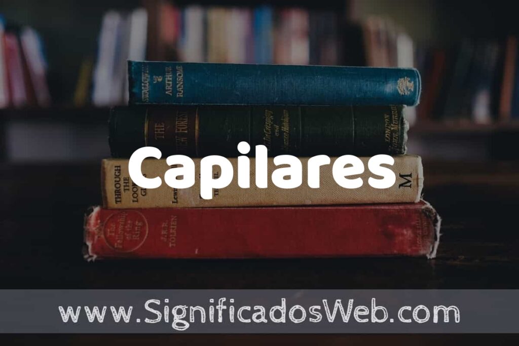 Concepto de Capilares ▶️¿Que es? Definición y Significado