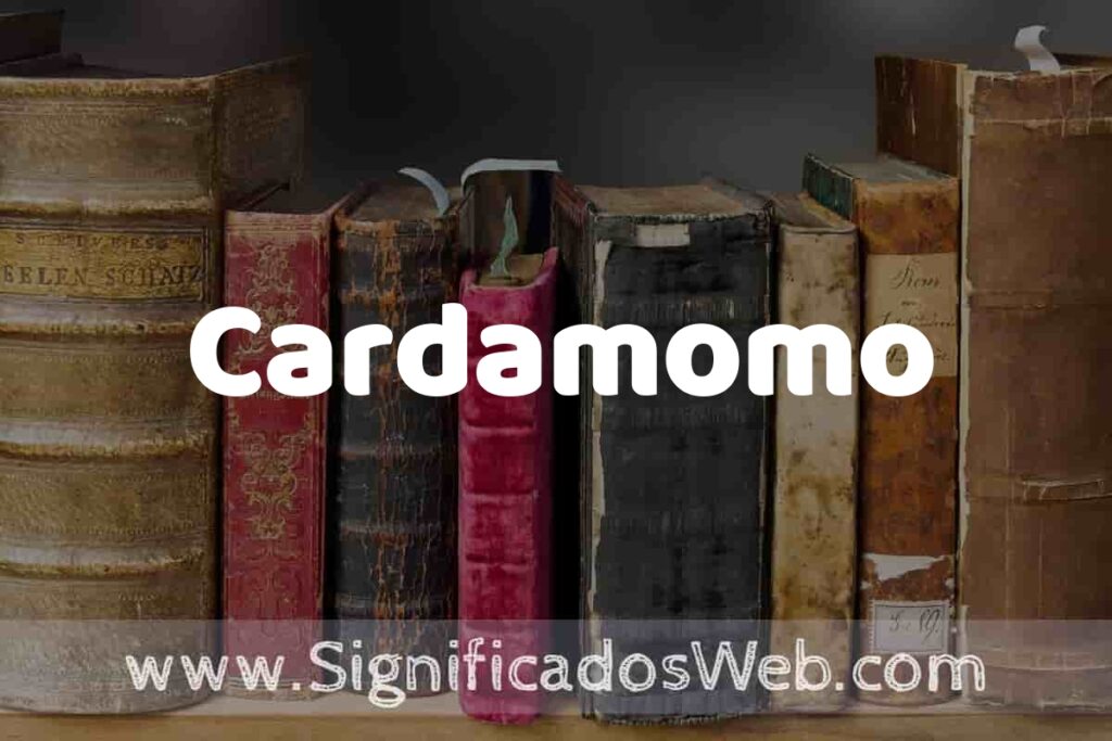 Definición de Cardamomo: Que es, 5 Ejemplos, Tipos y Para que Sirve + Sinónimo y Significado