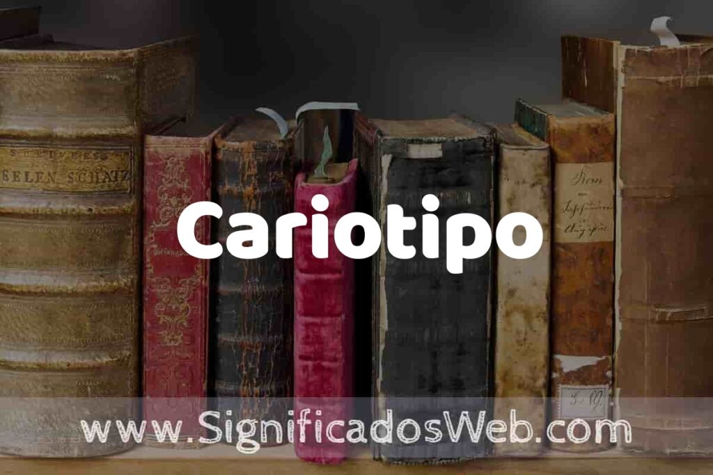 Definición de Cariotipo: Que es, 5 Ejemplos, Tipos y Para que Sirve + Sinónimo y Significado