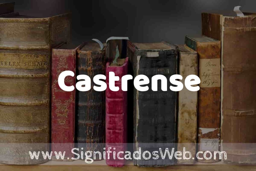 Definición de Castrense: Que es, 5 Ejemplos, Tipos y Para que Sirve + Sinónimo y Significado