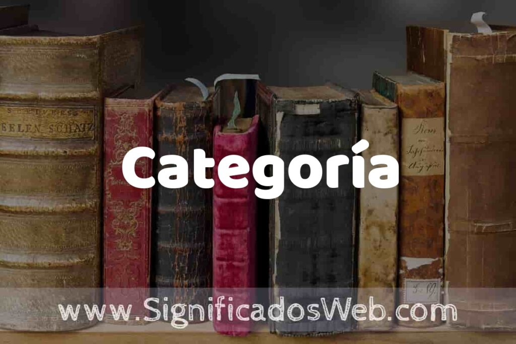 Definición de Categoría: Que es, 5 Ejemplos, Tipos y Para que Sirve + Sinónimo y Significado