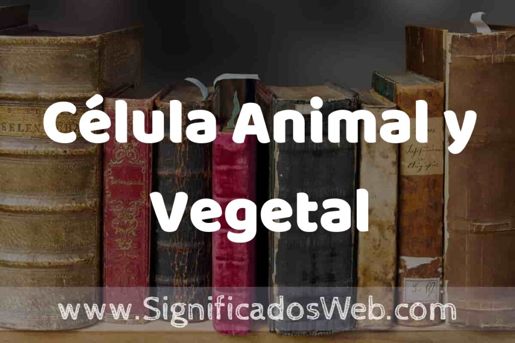 Definición de Célula Animal y Vegetal: Que es, 5 Ejemplos, Tipos y Para que Sirve + Sinónimo y Significado