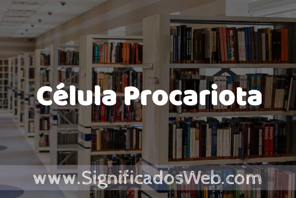 Concepto de Célula Procariota ✔️ Significado y Definición