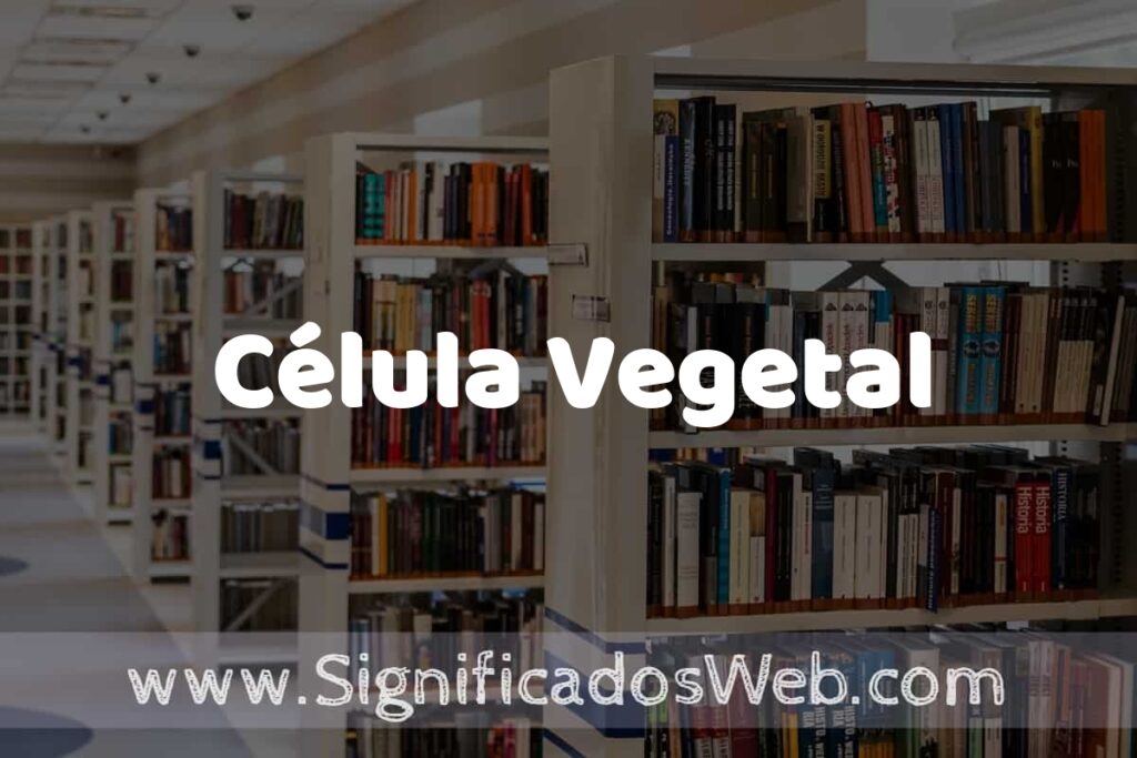 Concepto de Célula Vegetal ✔️ Significado y Definición